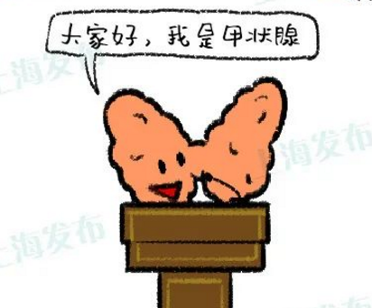 甲状腺疾病